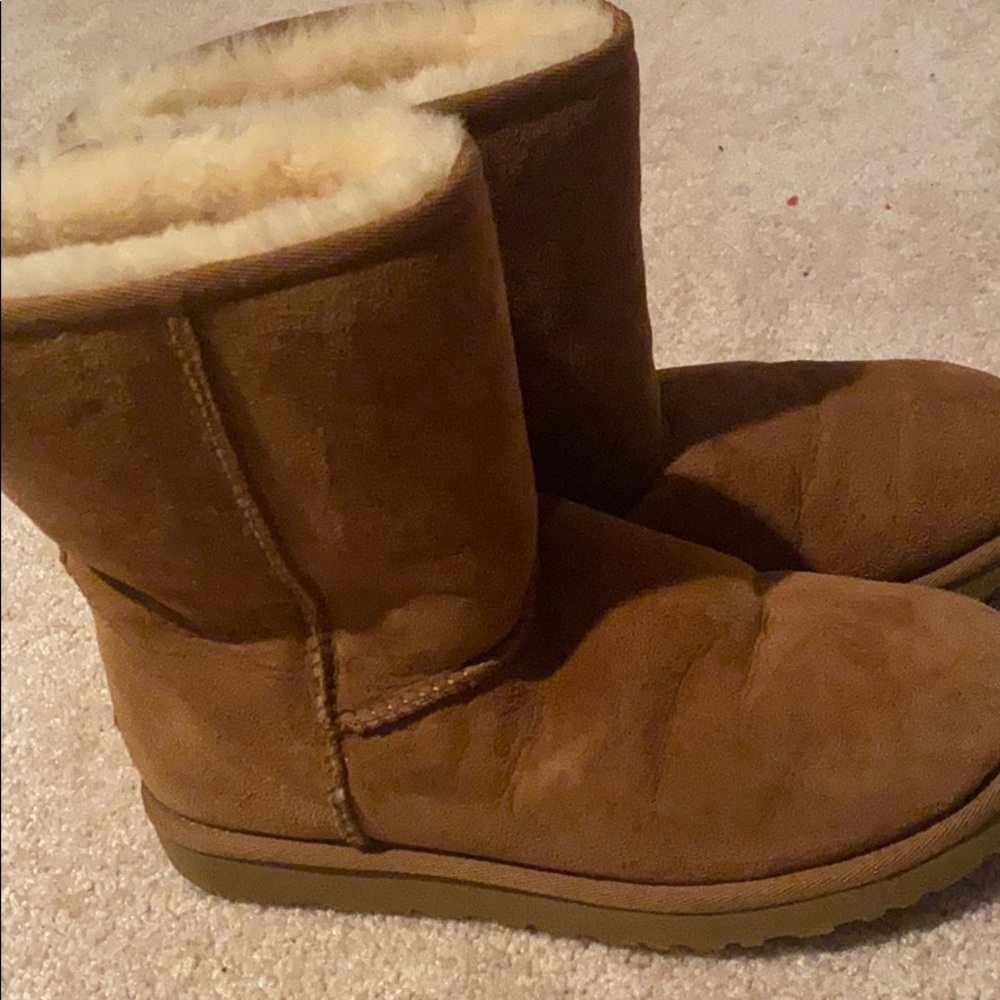 Hazelnut Uggs